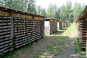 Site